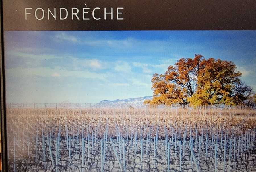 DOMAINE DE FONDRECHE