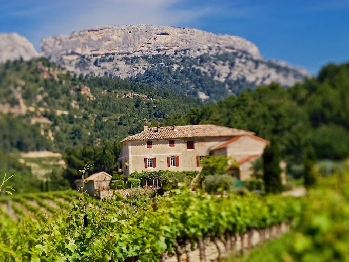 Domaine des Bernardins