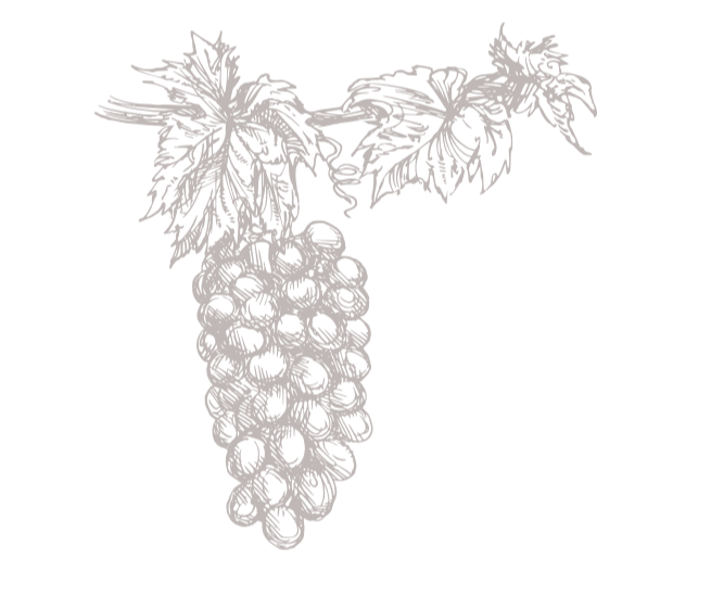 crea devinsetdivins raisin illustration