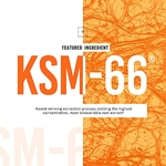 516BJRXxbIL._SL500_