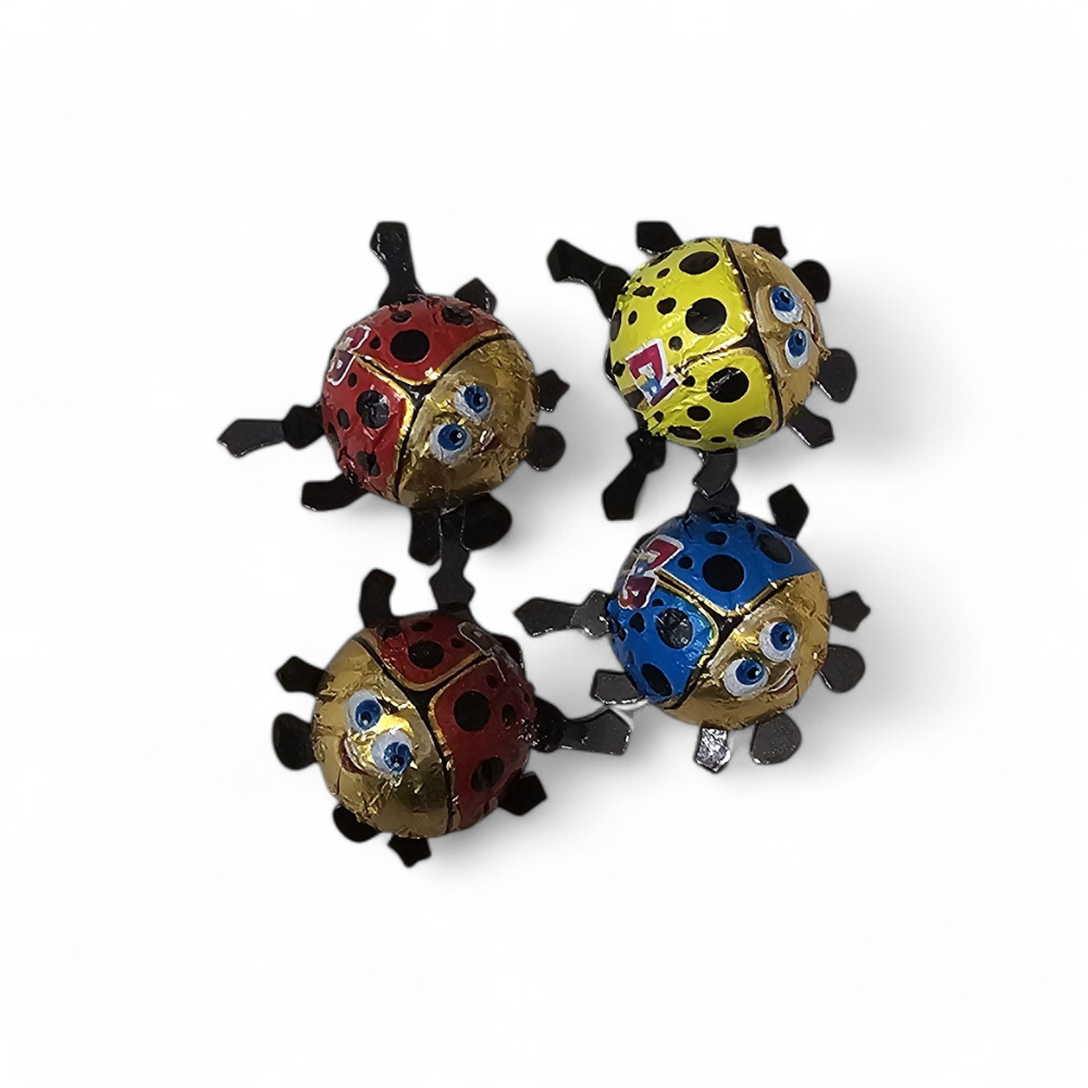 Dippo ladybird
