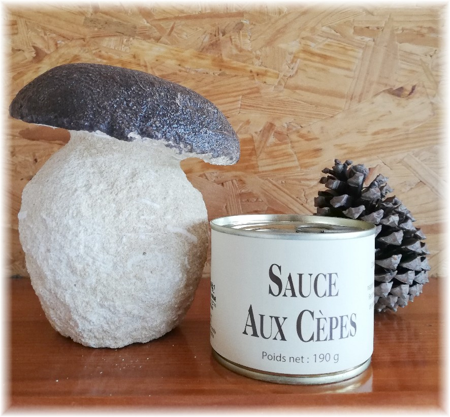 Sauce aux Cèpes