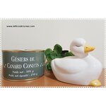 Gésiers de Canard