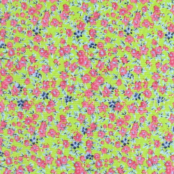 b_1573657_image3