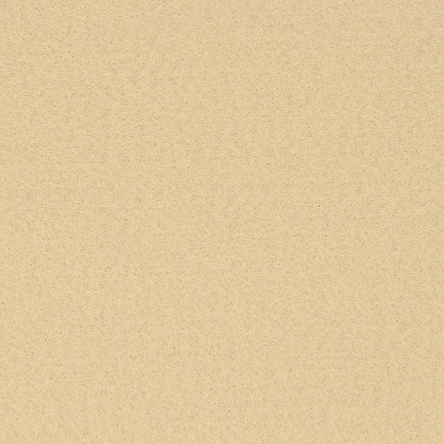 3660579929644-01