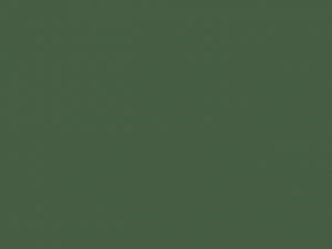 b_235554_image2