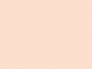b_236137_image3