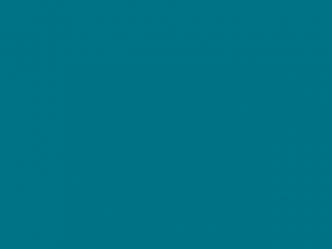 b_236224_image1