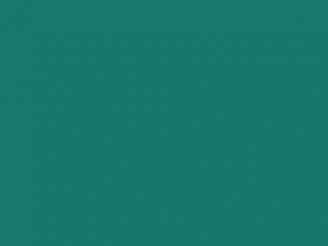 b_237582_image1