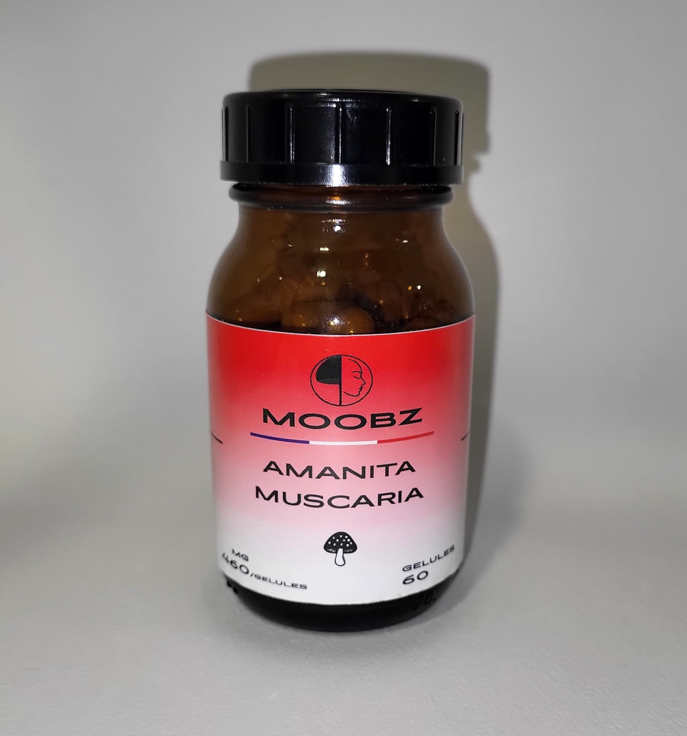 Amanita Muscaria