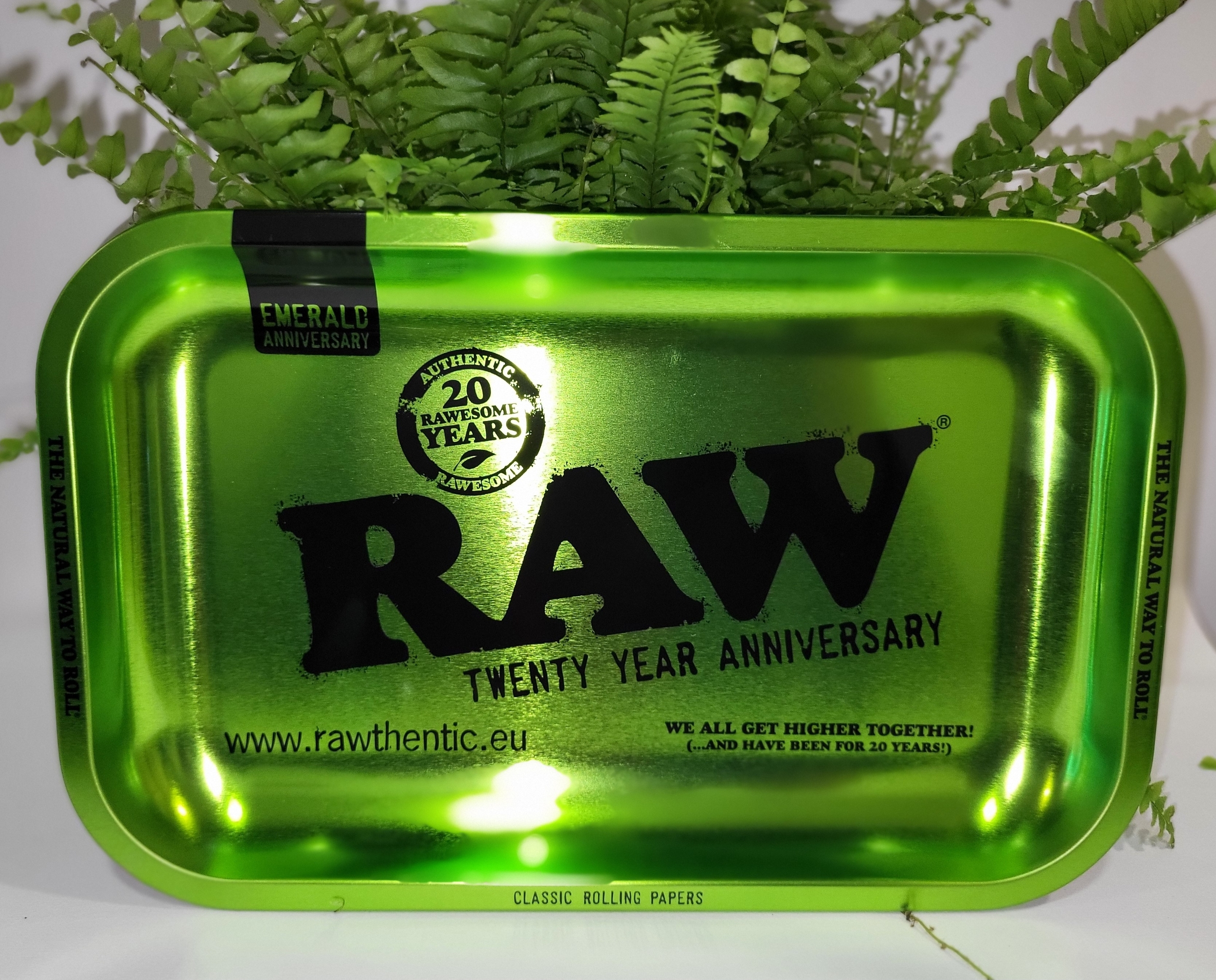 Plateau Raw Vert