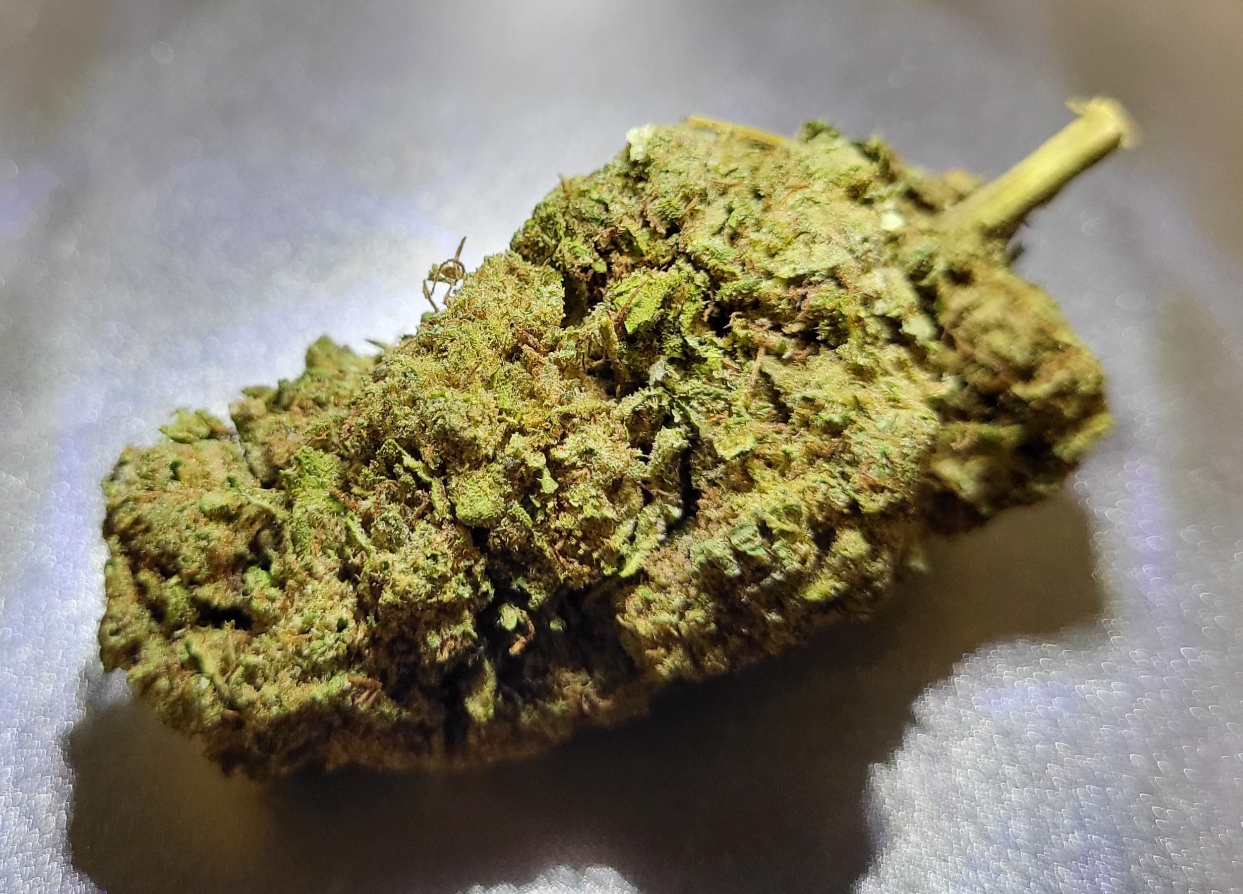 Dark Pepper