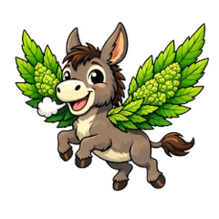 cbd-shop-gonfa-568