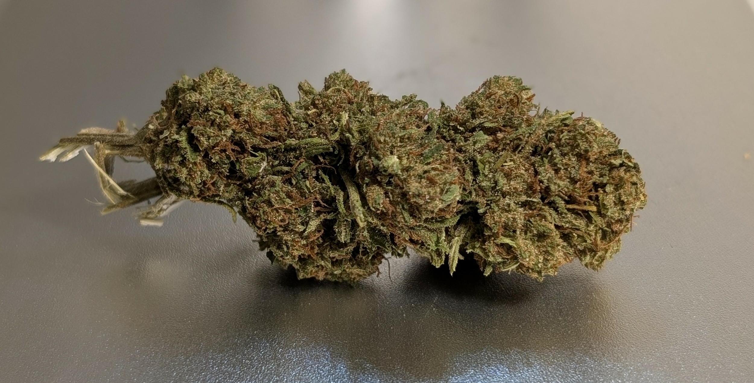 Tropical Haze