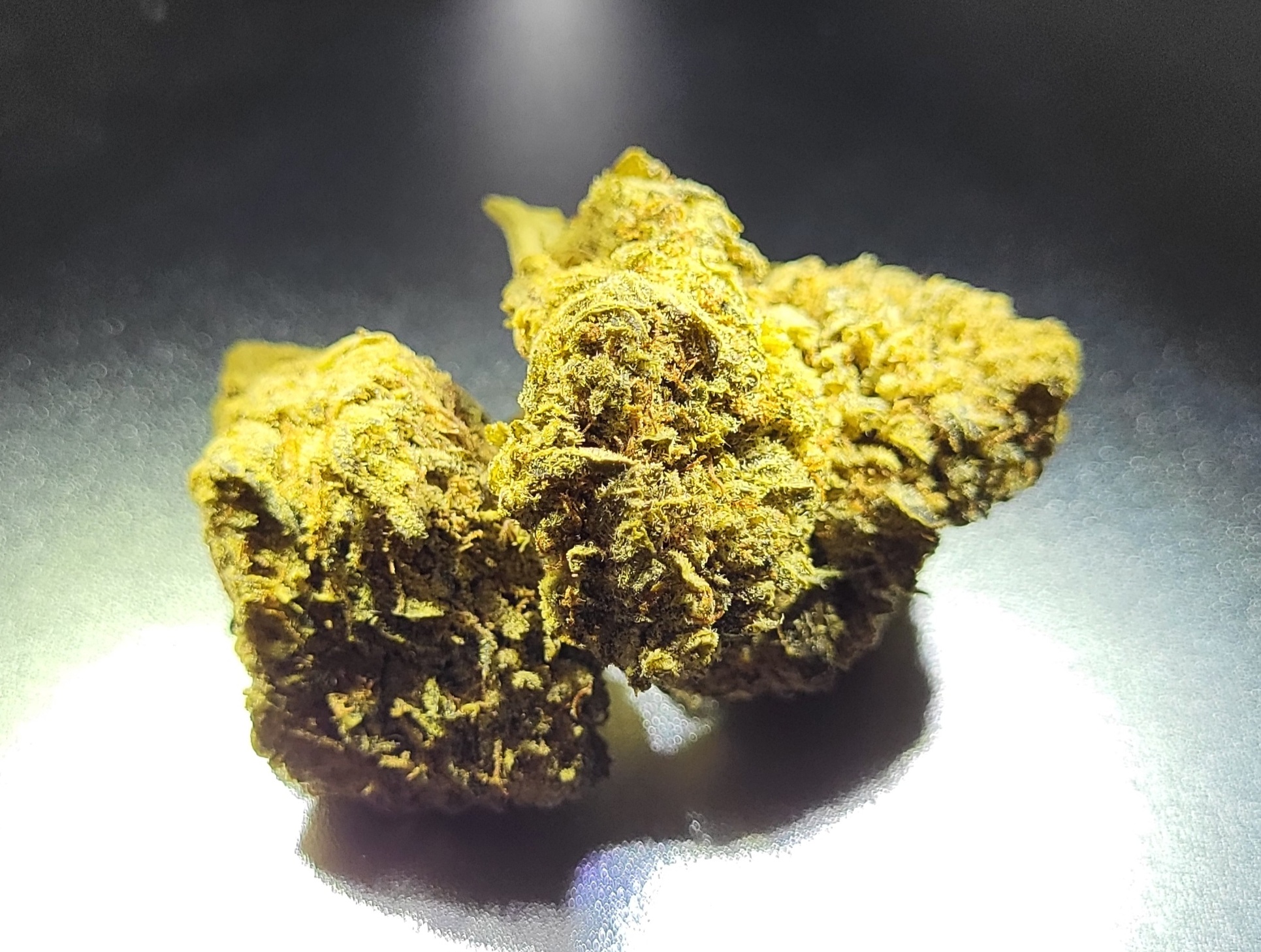 blueberry thca 1