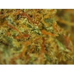 LA Confidential Micro