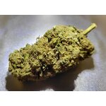 Dark Pepper