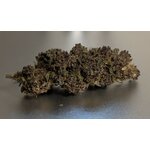 Blueberry
