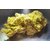 Zkittlez