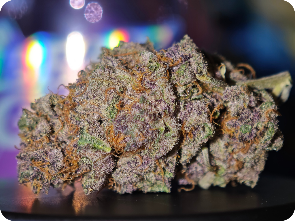 fleur tropicana x hulk smash thca