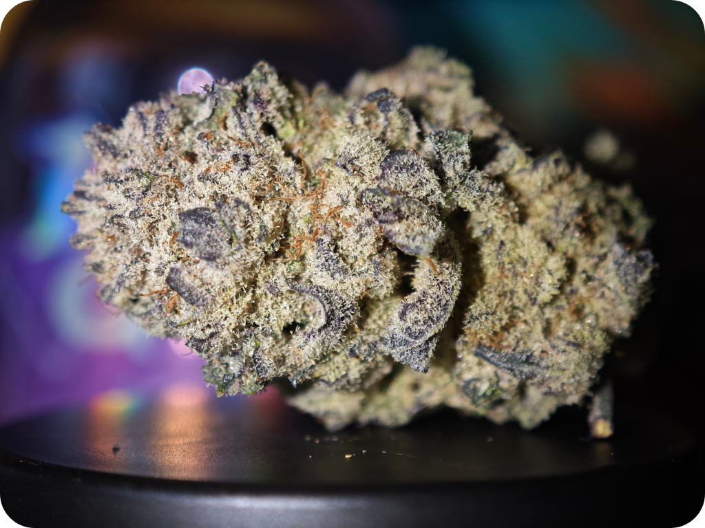 achat thca france - Blue nerds fleurs