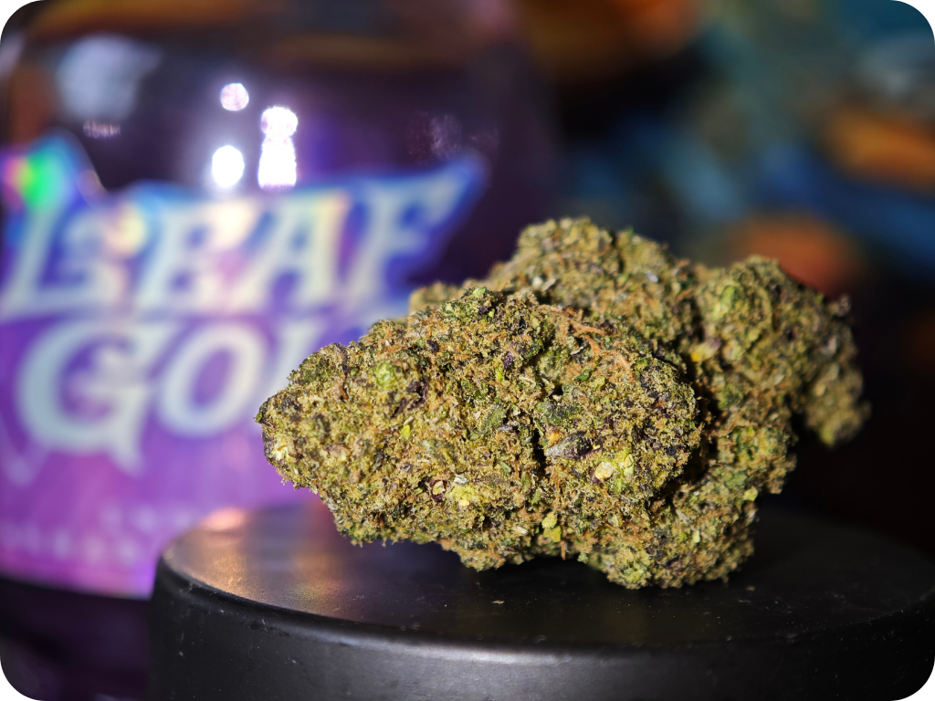 gelato 41 thca