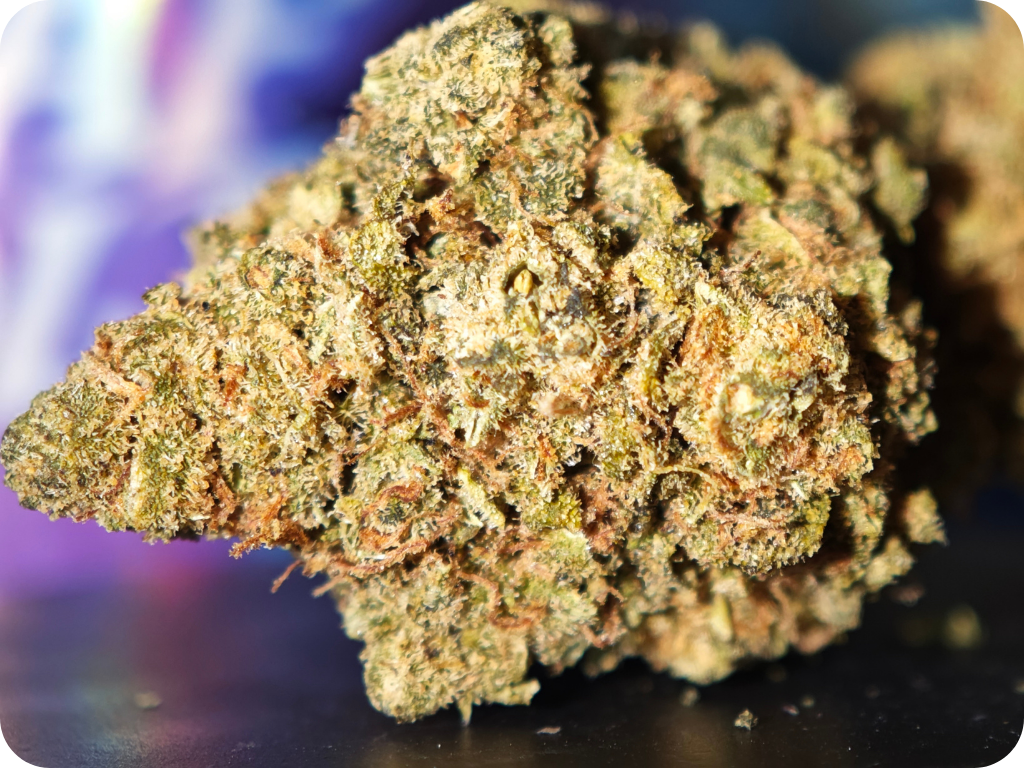 Super lemon haze THCA CBD