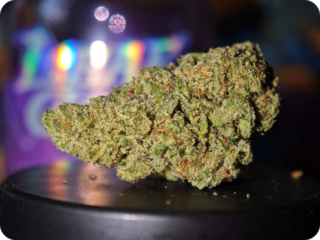 zoap x malabar thca france
