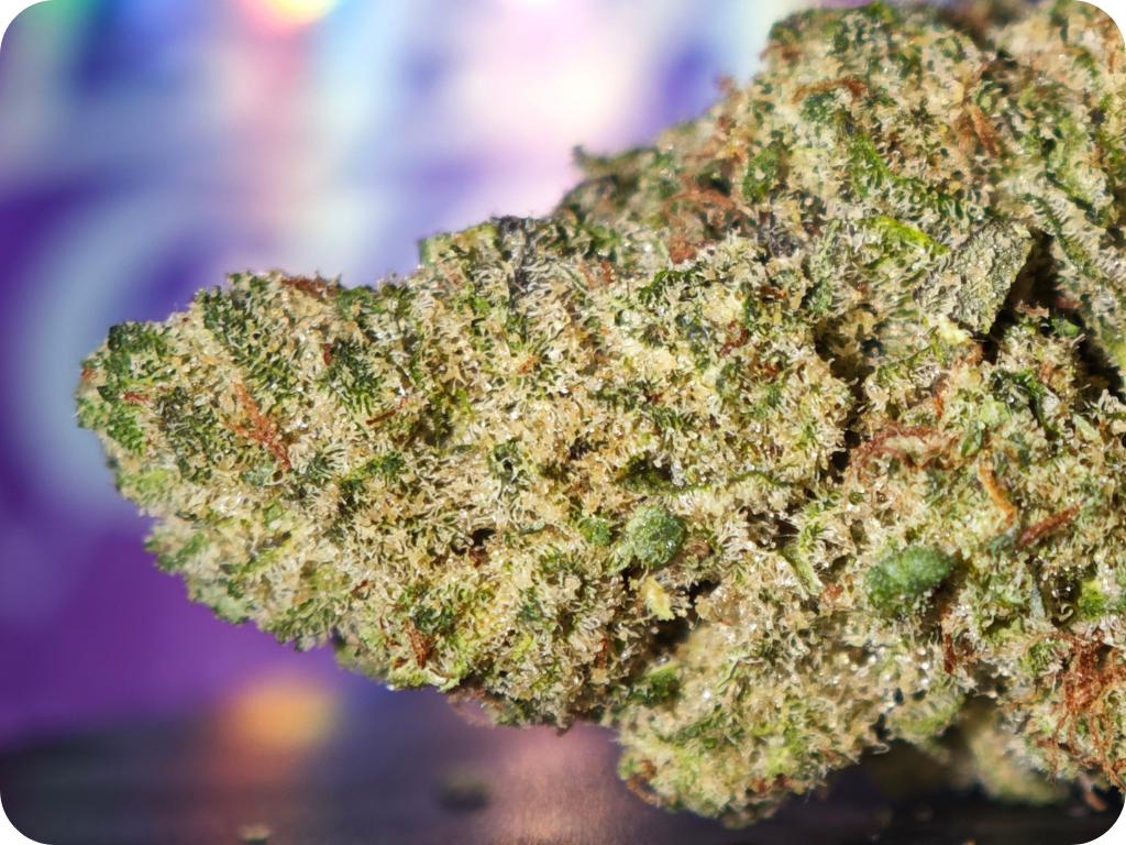 zoap x malabar zoom thca cbd