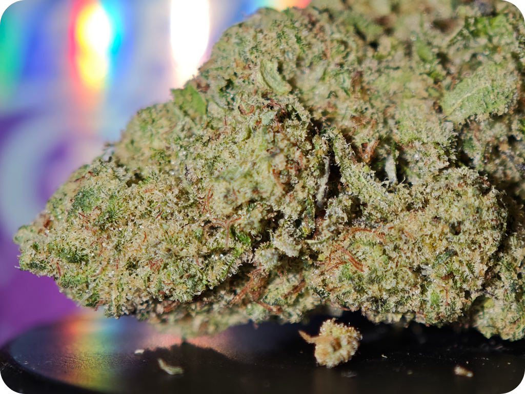 zoom zoap thca