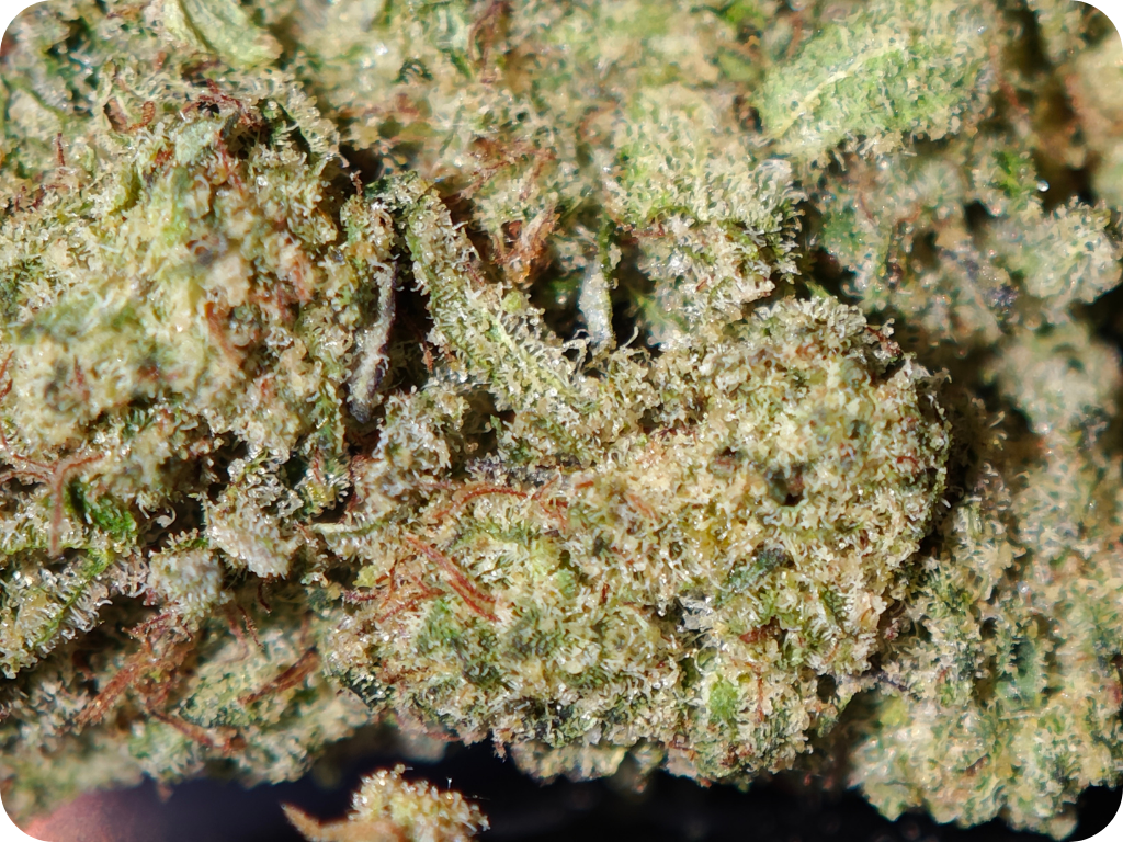 trichomes zoap cbd