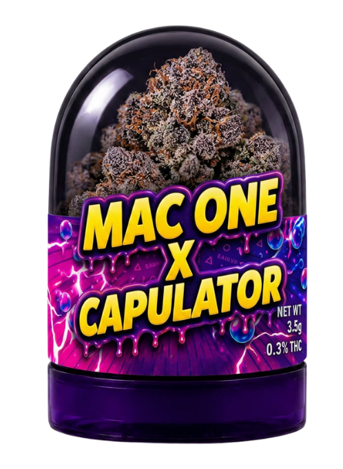 mac one thca france