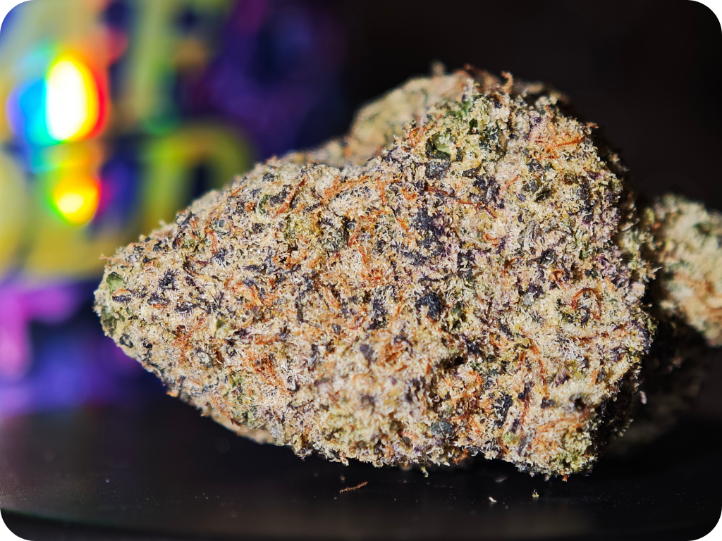 top shelf thca france