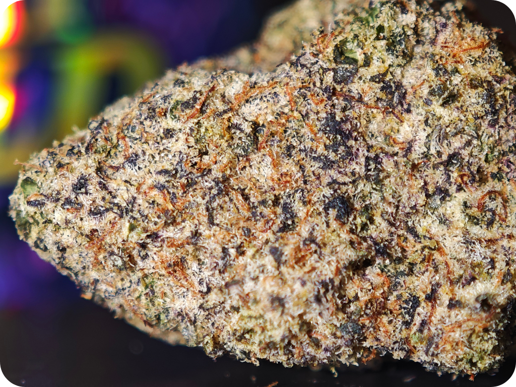 thca france