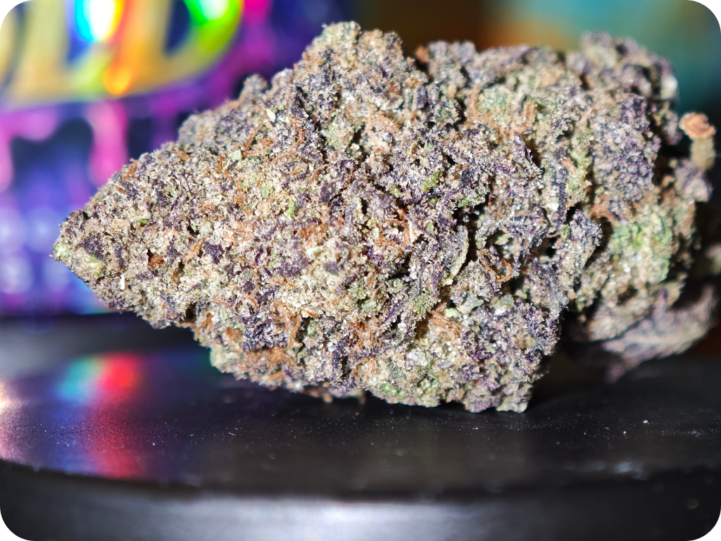 thca france leaf gold - rainbow runtz shop thca  fleur hash