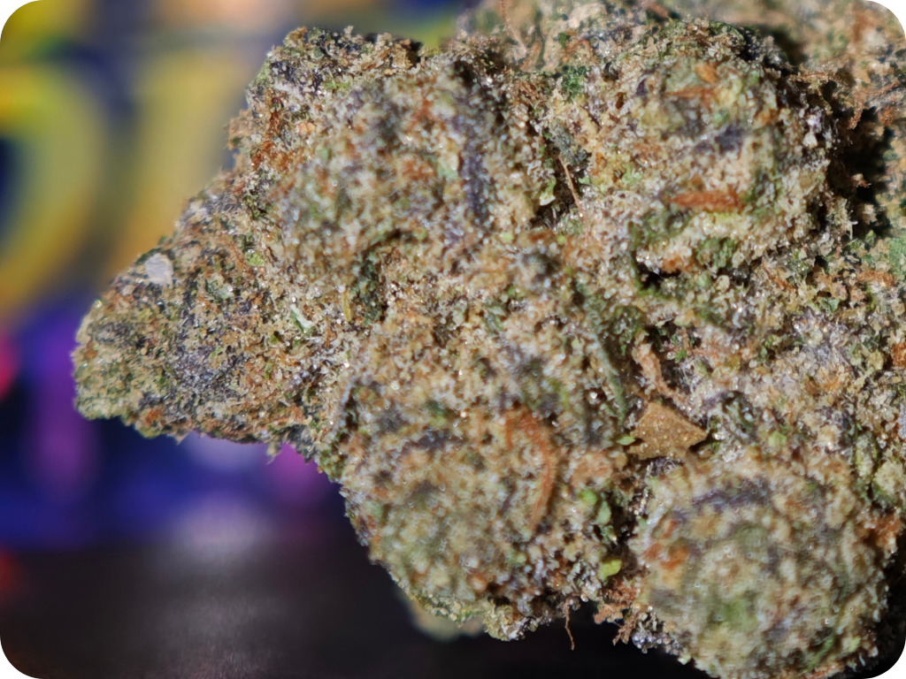 trichomes thca monney bag runtz thca france leaf gold