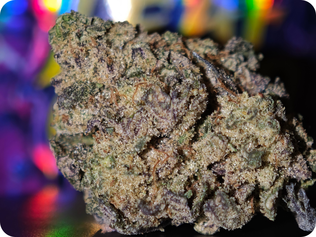 full trichomes Monney bag runtz thca leaf gold france