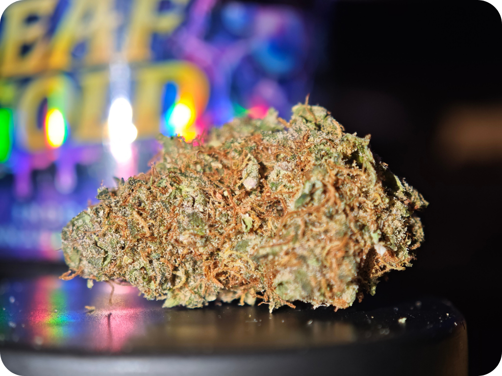 mango sherbet thca france (2)