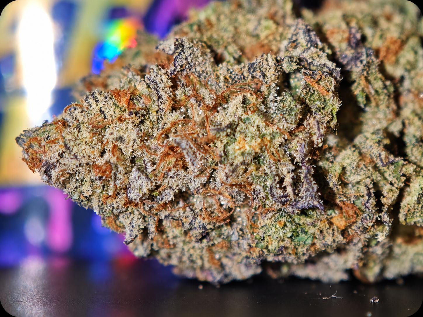 fleur thca gelato 41 france