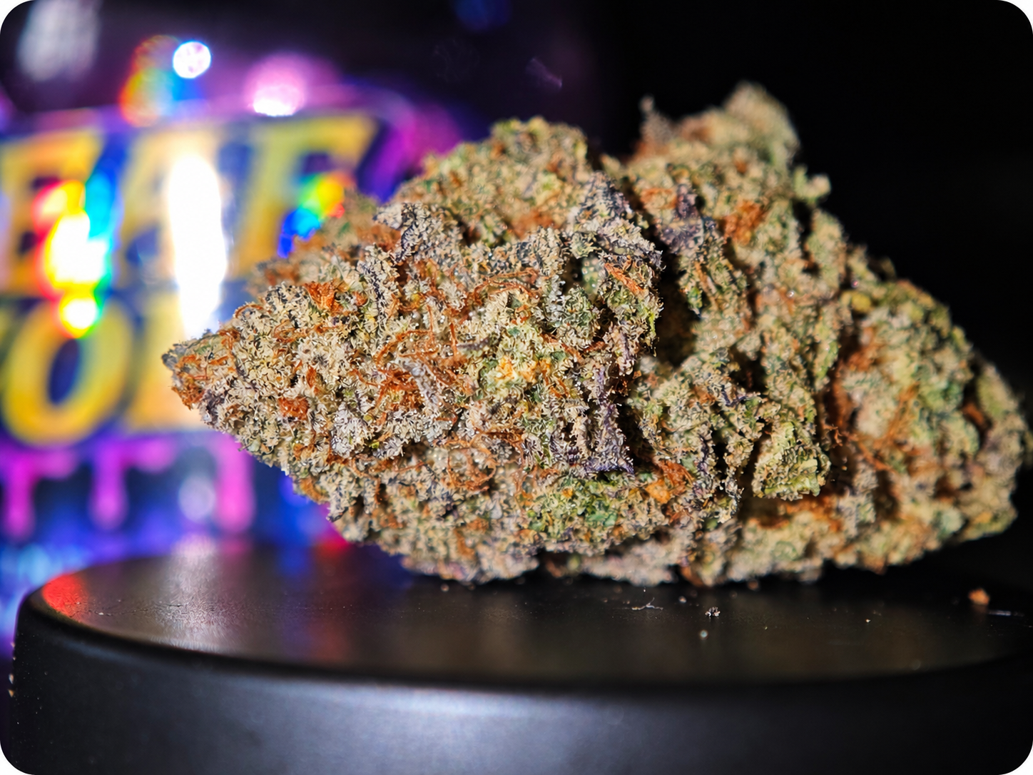 gelato 41 thca