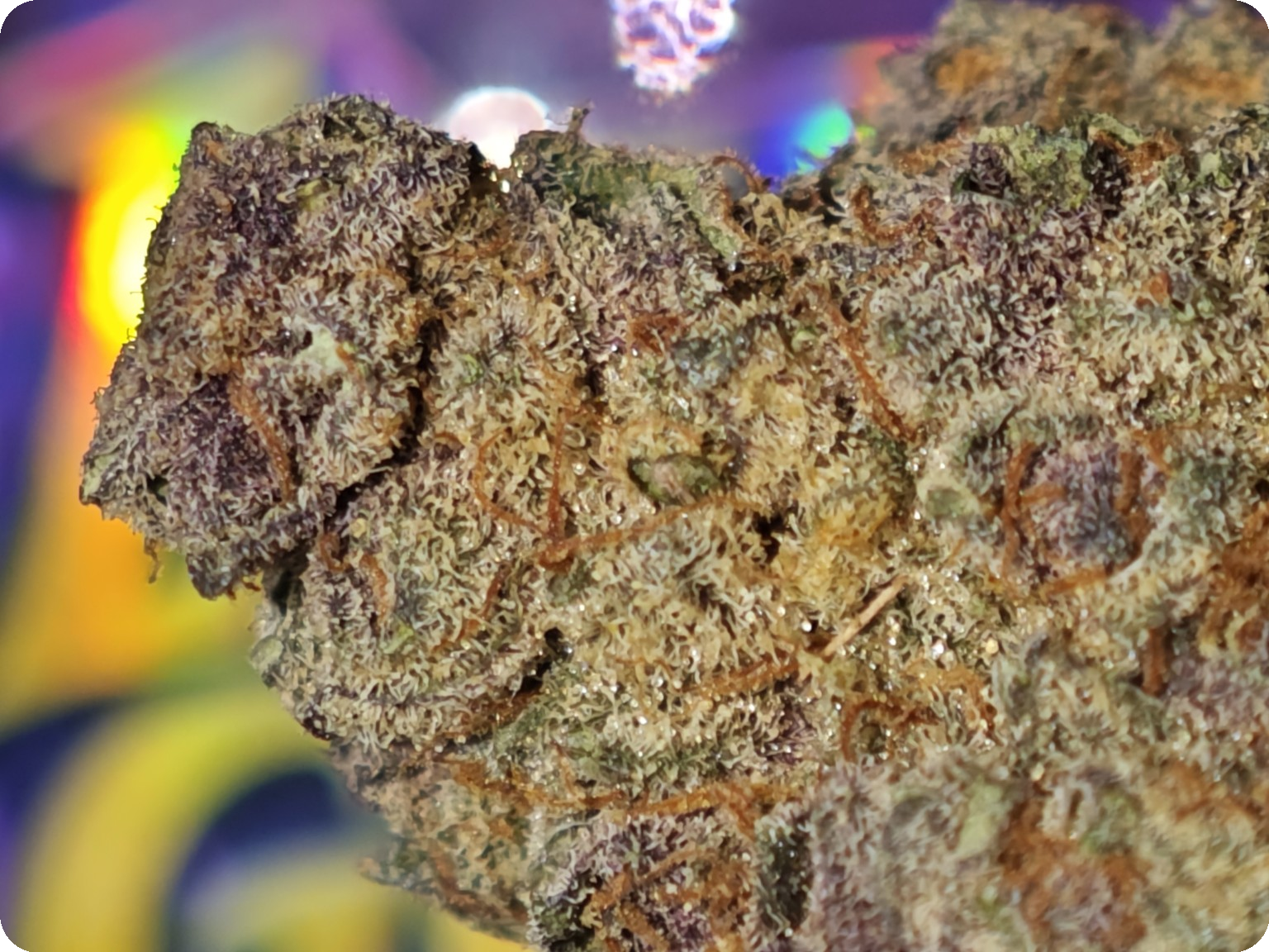 super boof cherry thca leaf gold