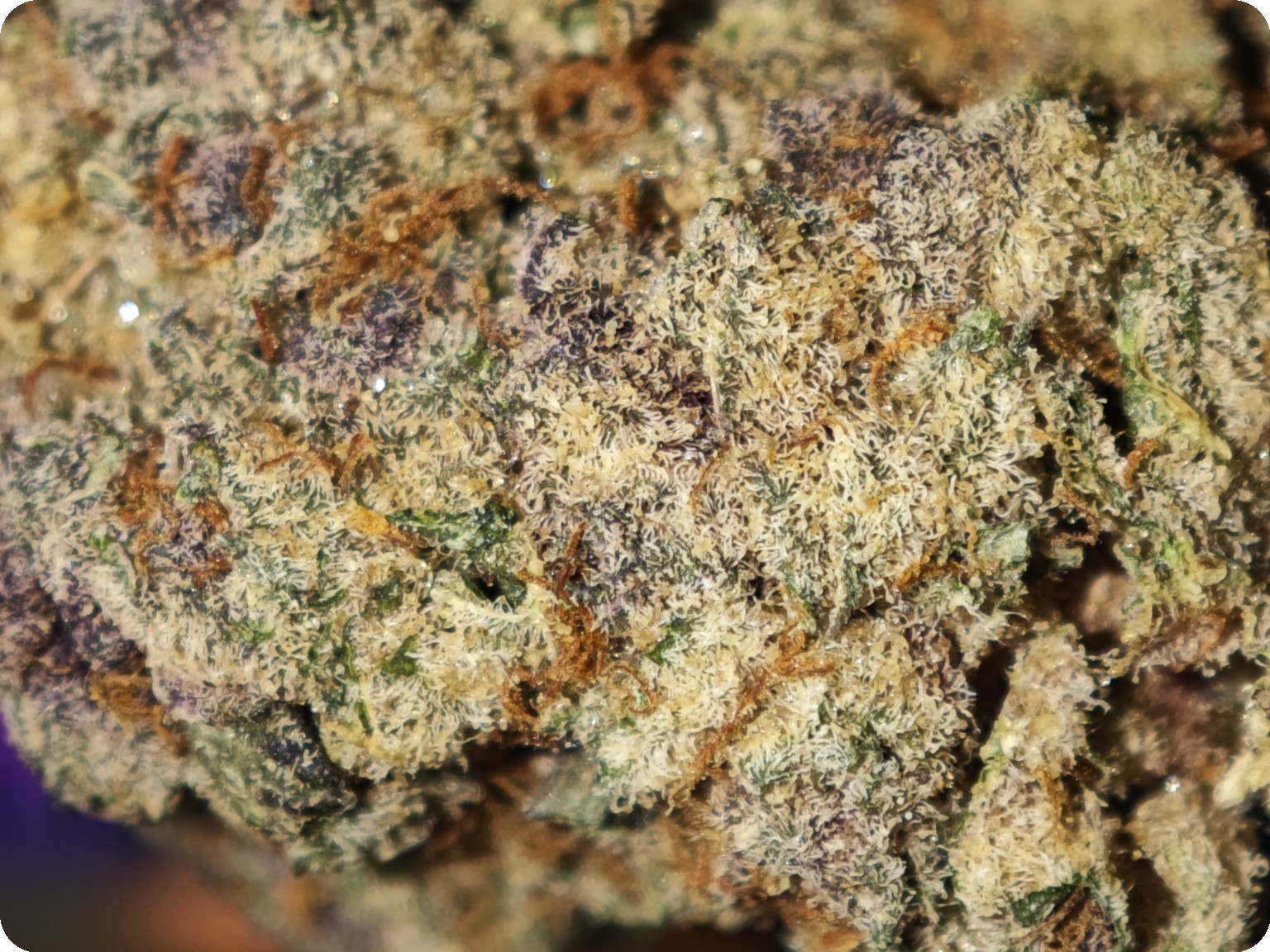 thca en ligne super boof
