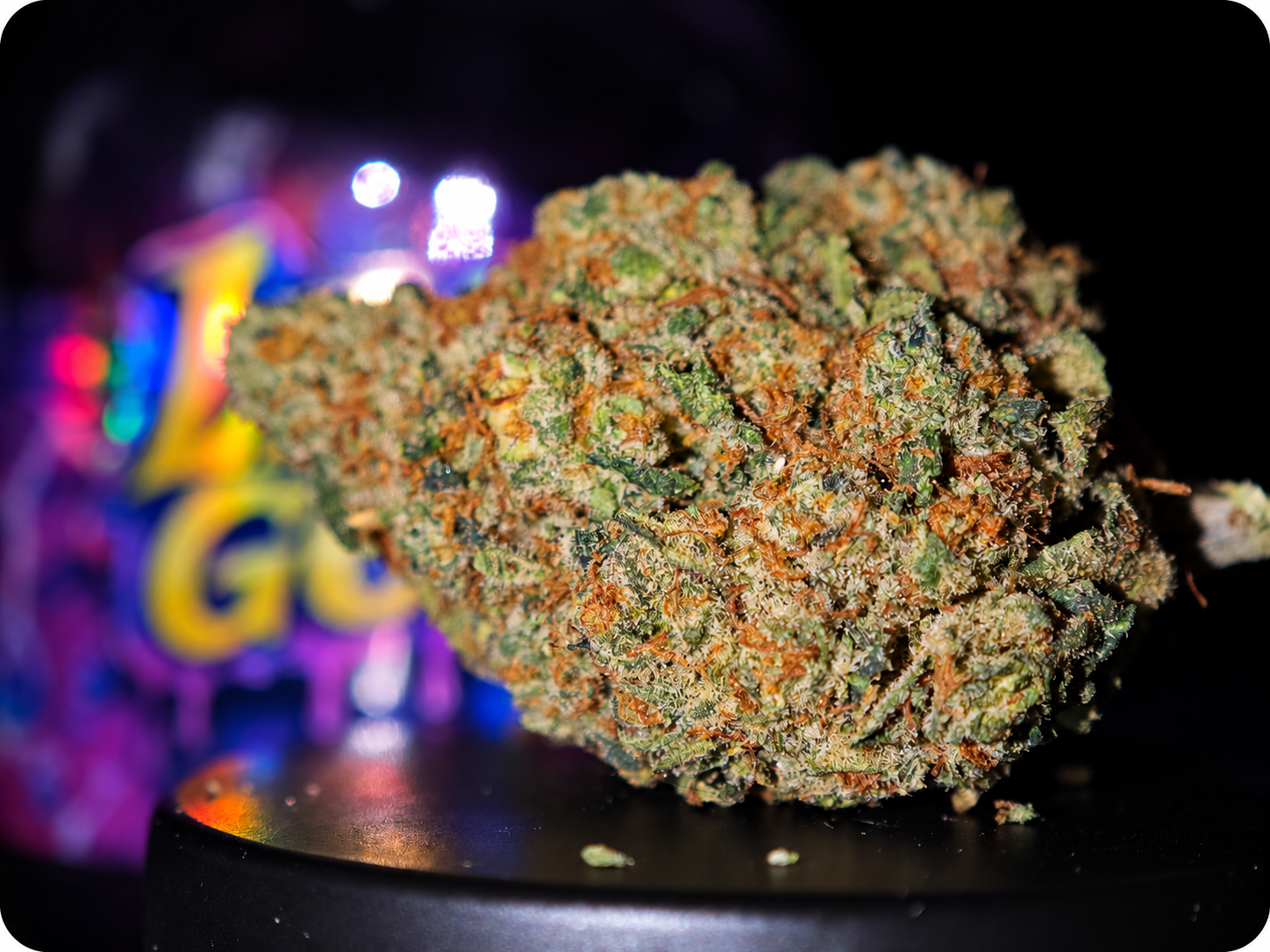 gelato 33 thca