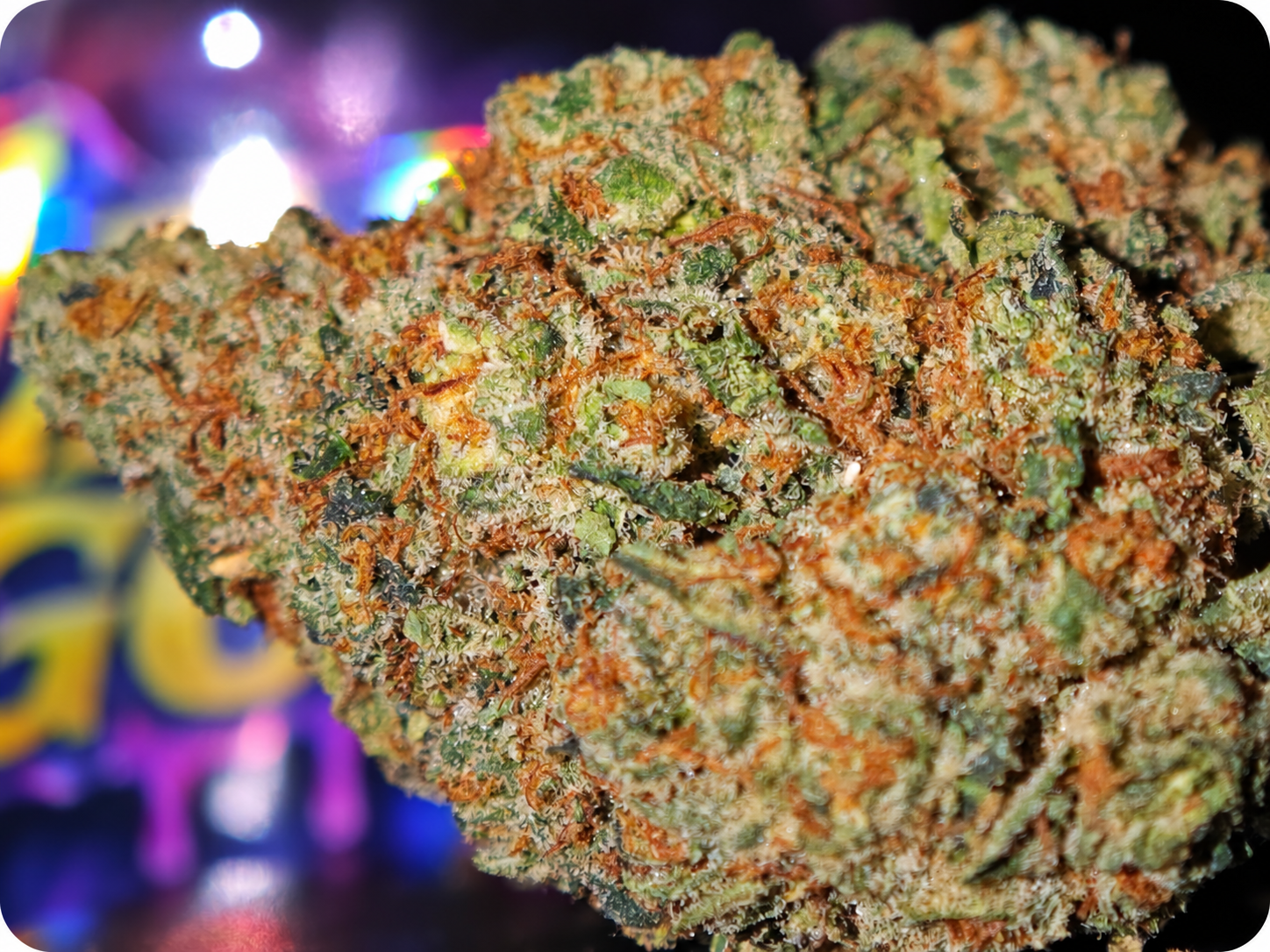 gelato thca france