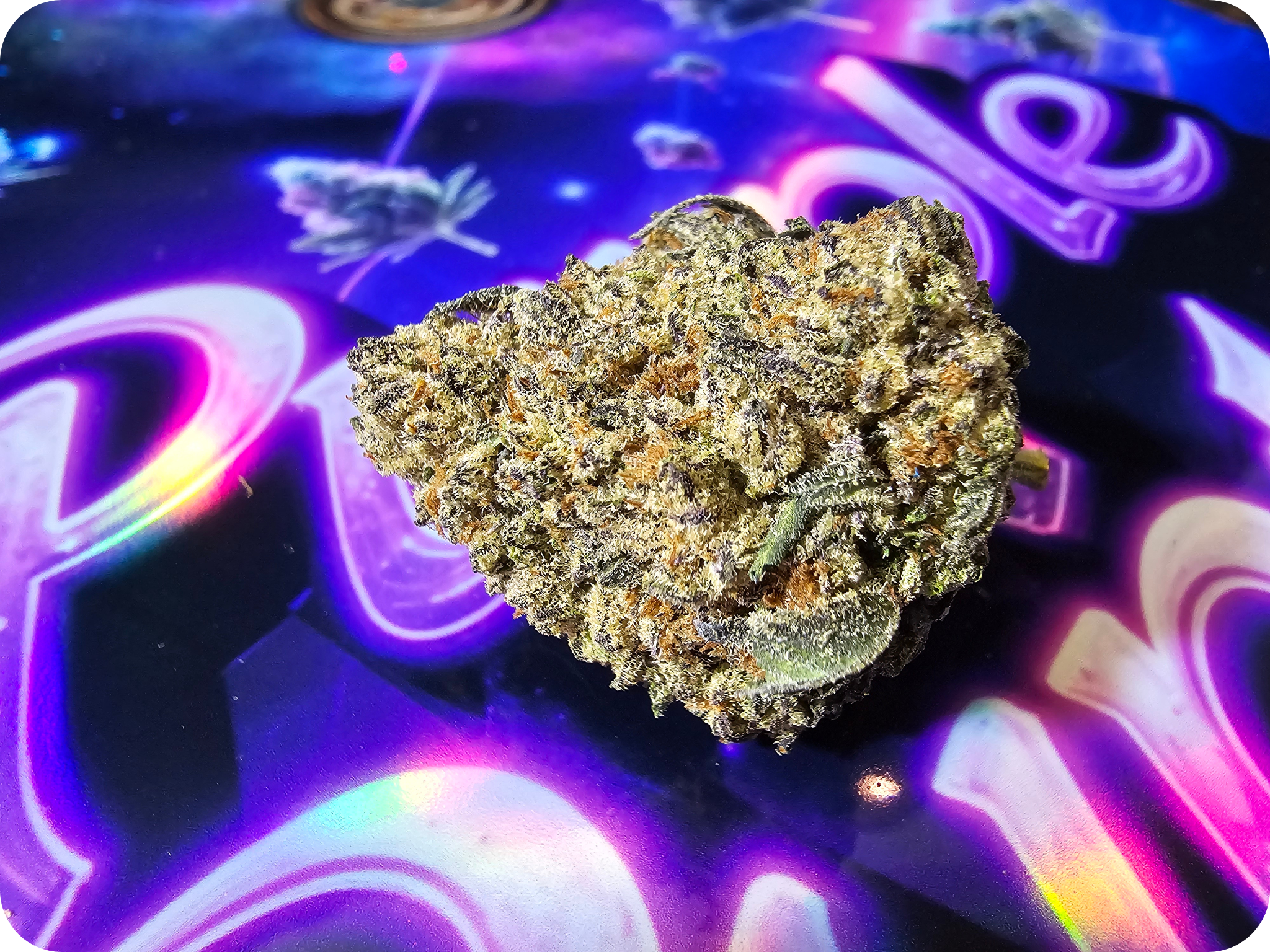 achat thca , purple runtz californie