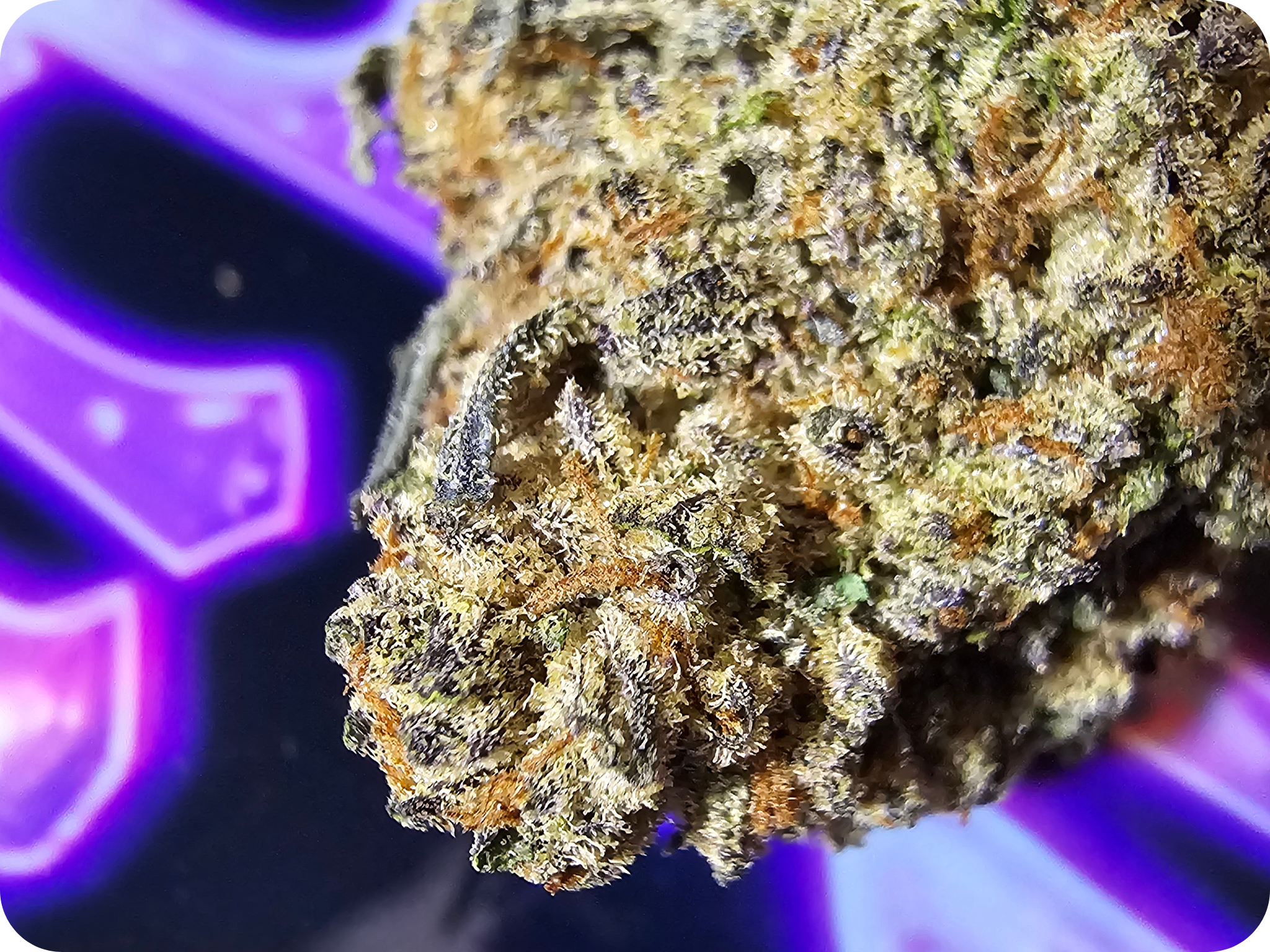 achat thca , shop thca , thca france, purple runtz