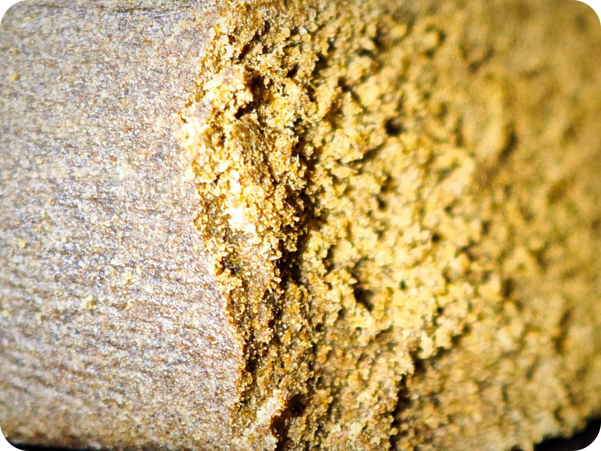 achat thca , hash thca , résine thca , gary payton thca , thca avis