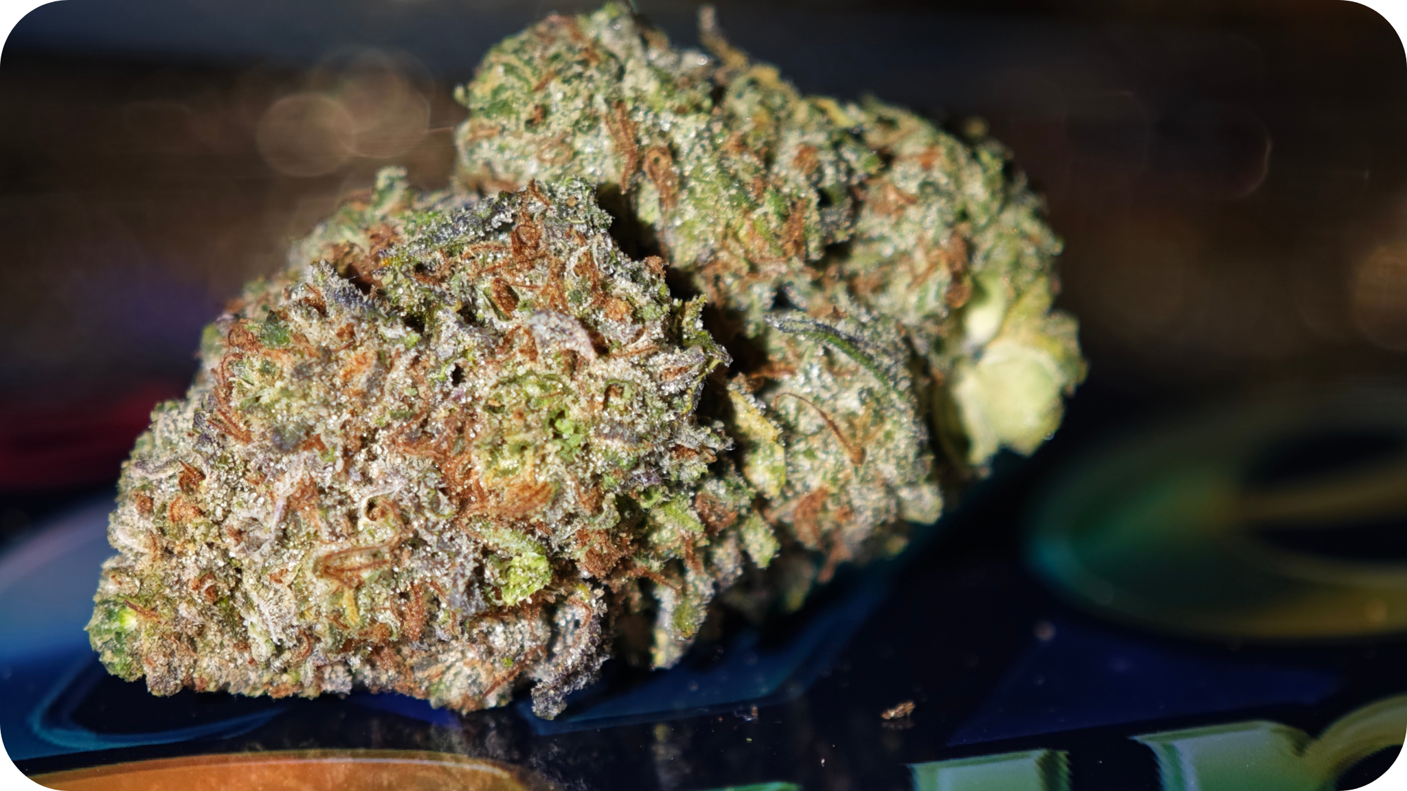 Red Velvet Runtz AAA+ THCA – Fleur Premium Made in USA