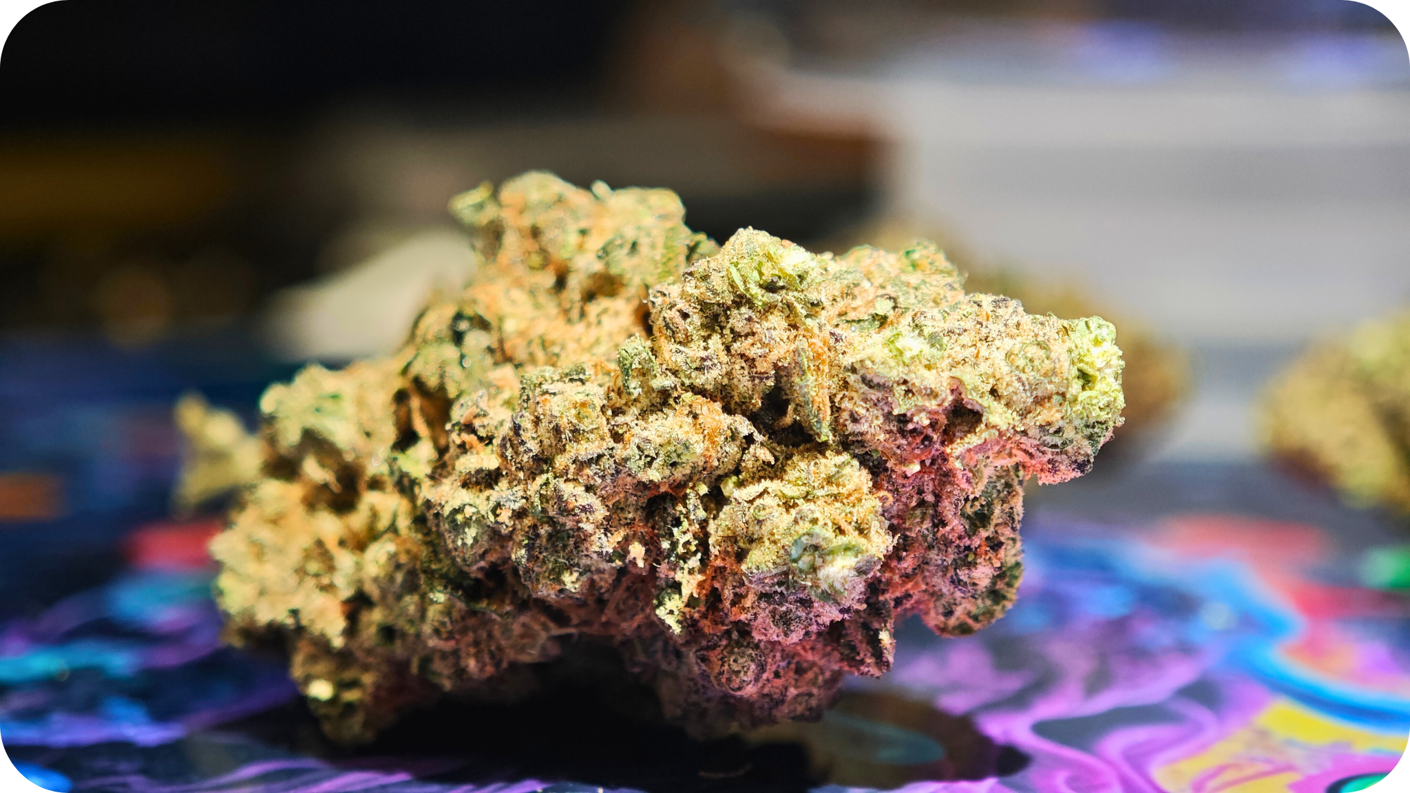 thca-kaufen-deutschland-legal-cbd-strong