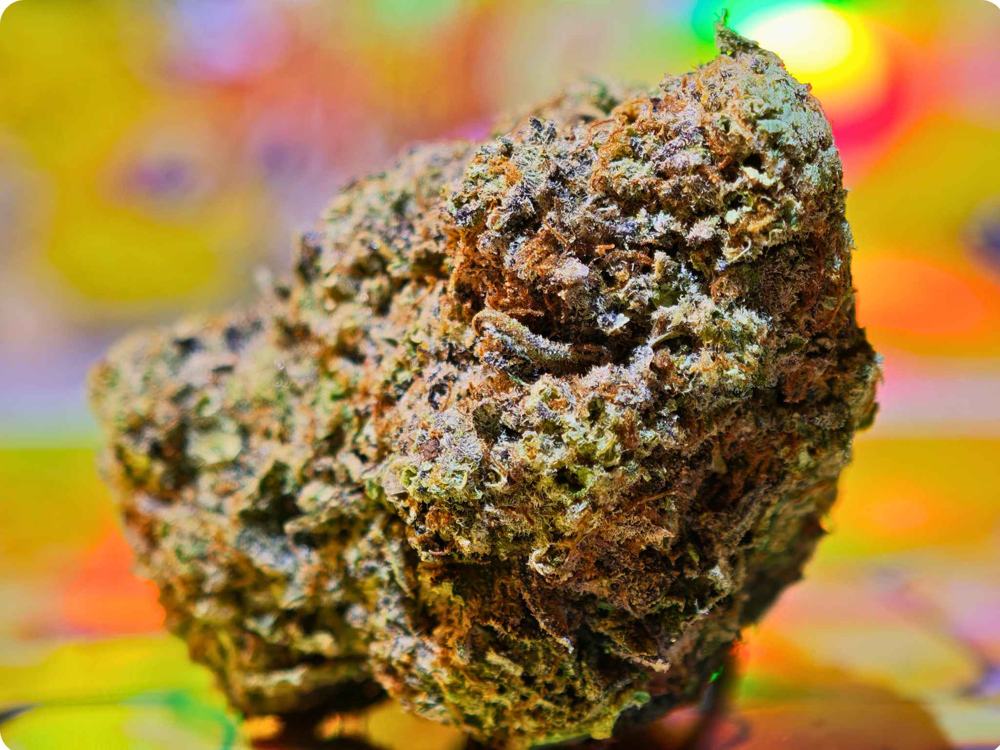 LEMON CHERRY GELATO THCA